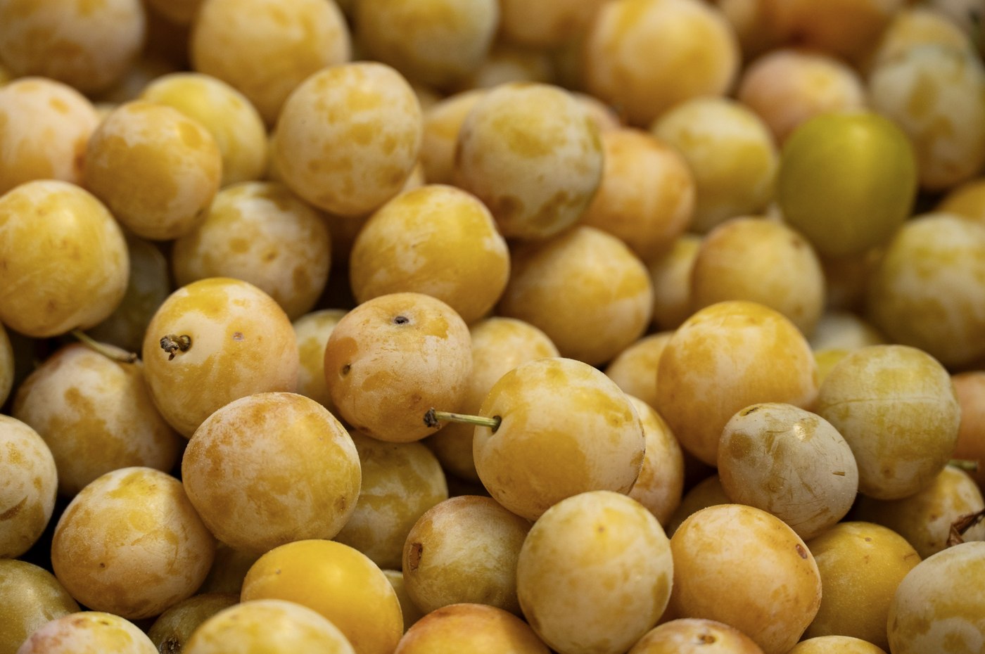 Frutas