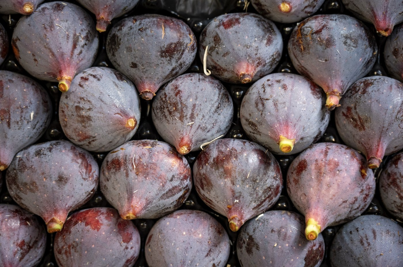 Frutas